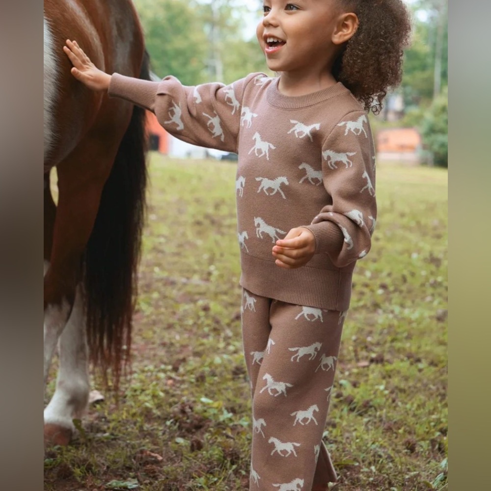 Modern Moments horse sweater set